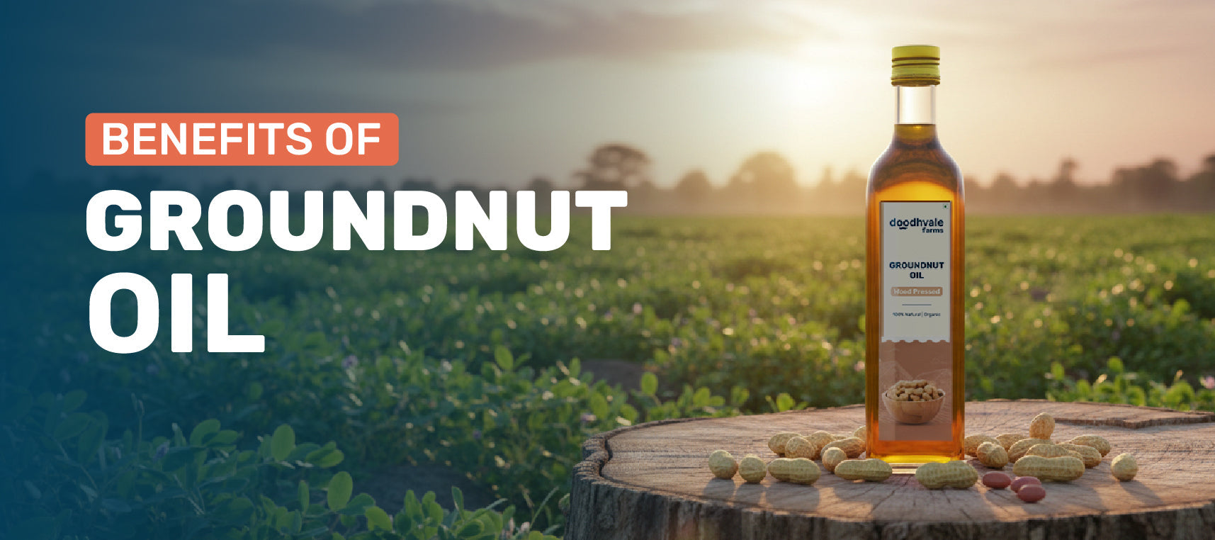 Why Groundnut Oil Is Beneficial for Your Heart?