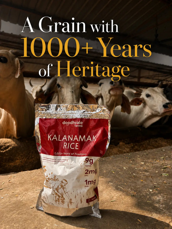 Kala Namak Rice – GI-Tagged Heritage Rice | High Protein