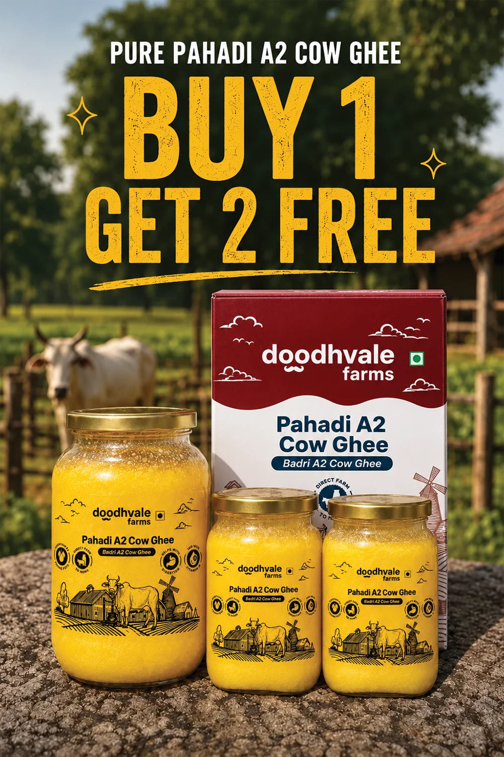 Pahadi A2 Cow Ghee B1G2