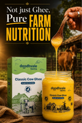 Classic Cow Bilona Ghee - (900 ML)