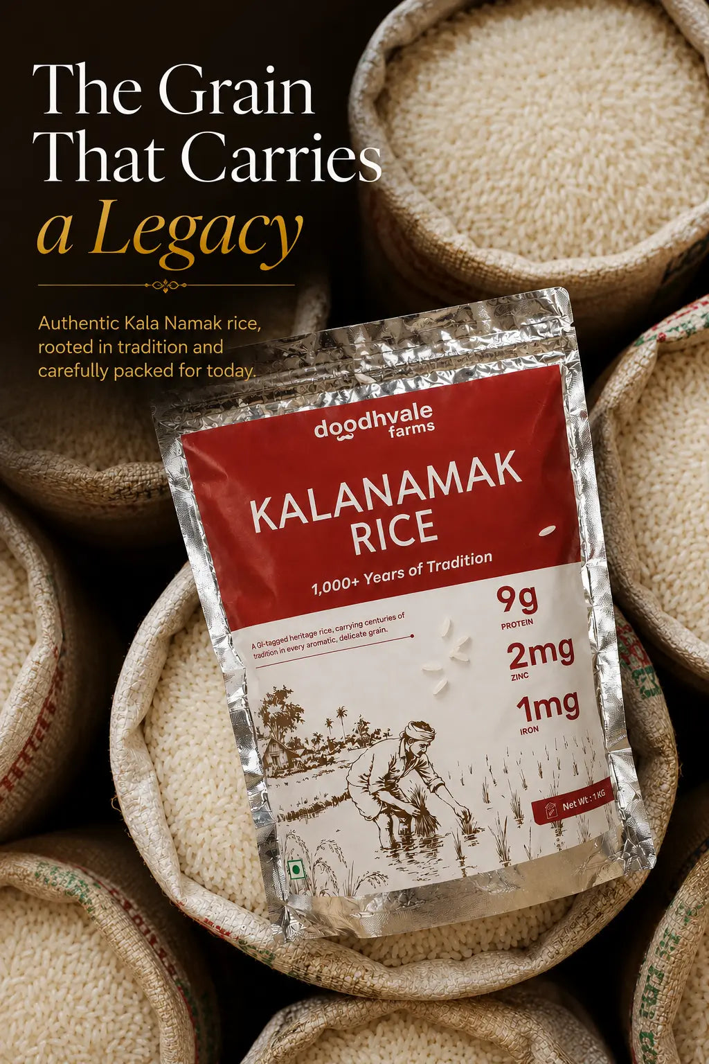 Kala Namak Rice – GI-Tagged Heritage Rice | High Protein