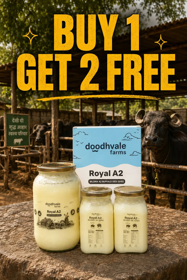 Royal A2 Buffalo Desi Ghee B1G2