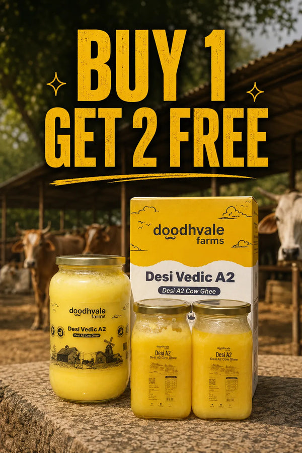 Cow A2 Vedic Desi Ghee B1G2