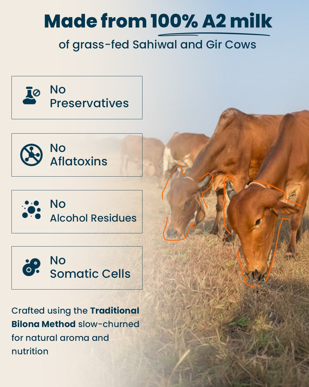Cow A2 Vedic Desi Ghee