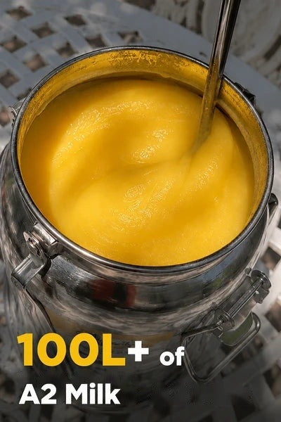 Doodhvale Farms Desi Ghee