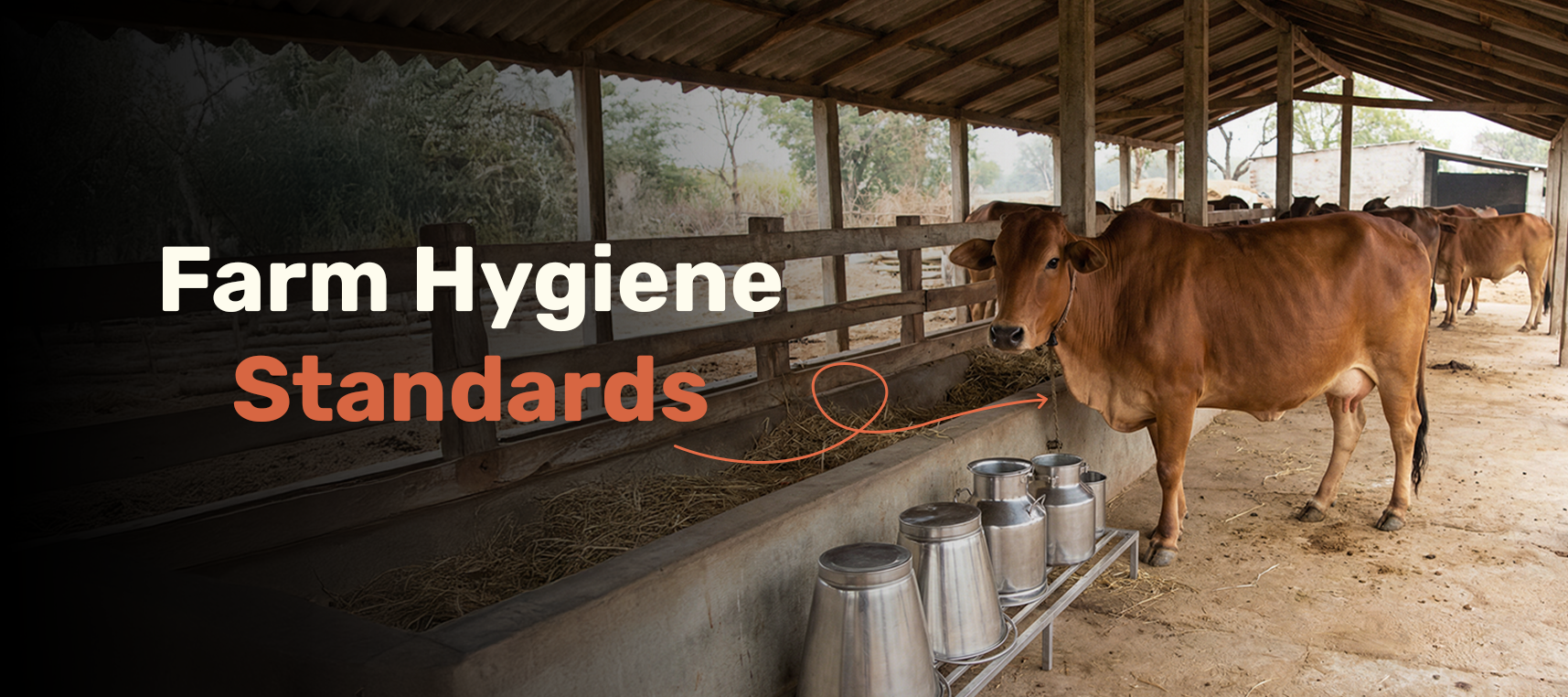 Farm Hygiene Standards: How Clean Farms Lead to Cleaner Food?