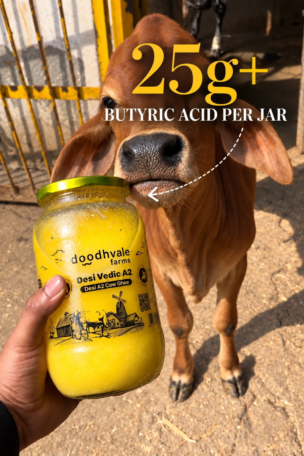 Cow A2 Vedic Desi Ghee - (900 ML)