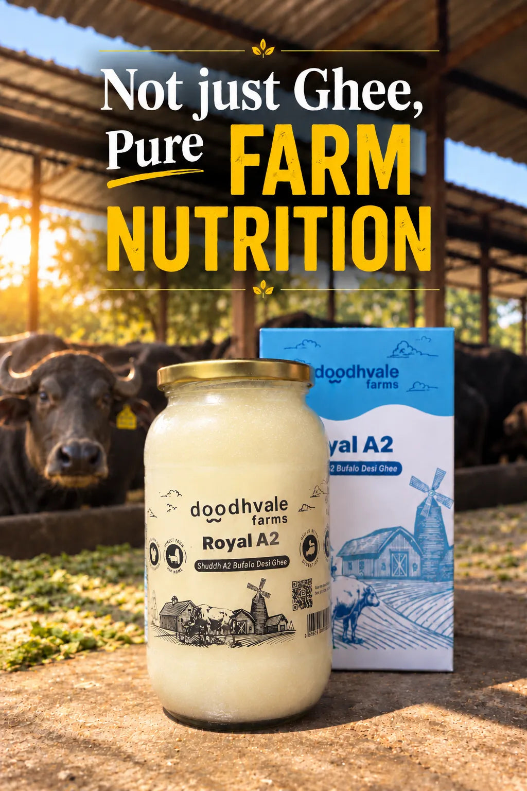 Royal A2 Buffalo Desi Ghee