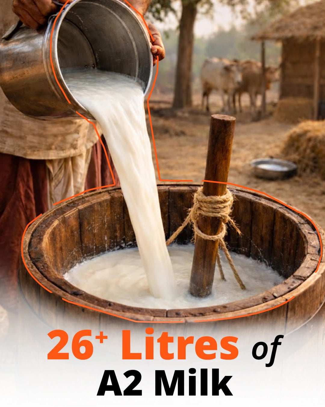 Cow A2 Vedic Desi Ghee