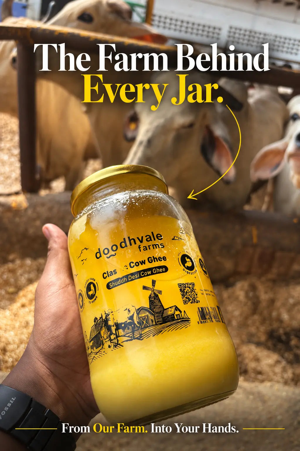 Classic Cow Bilona Ghee B1G2