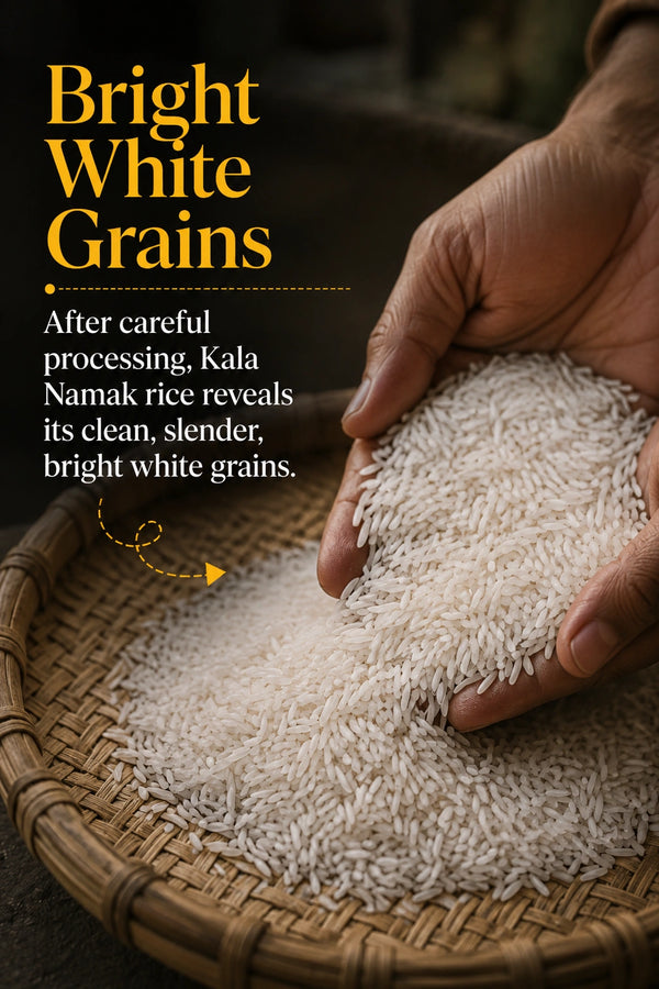 <div class="metafield-rich_text_field"><p>Bright white grains</p></div>