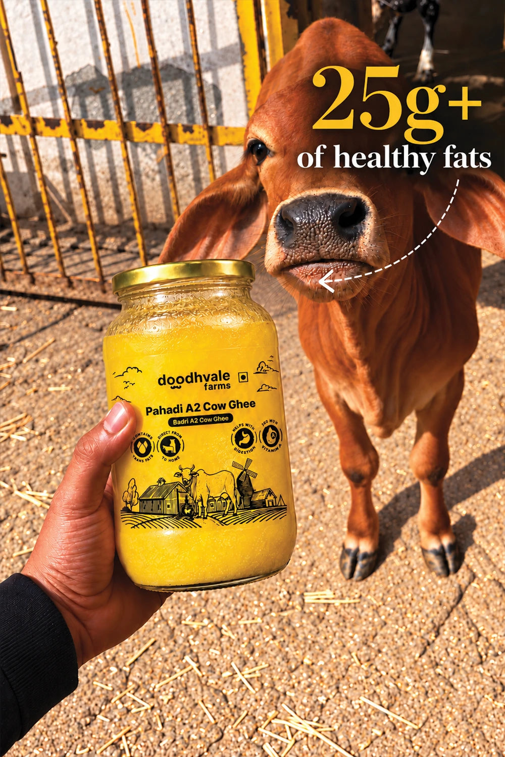 Pahadi A2 Cow Ghee - (825 ML)
