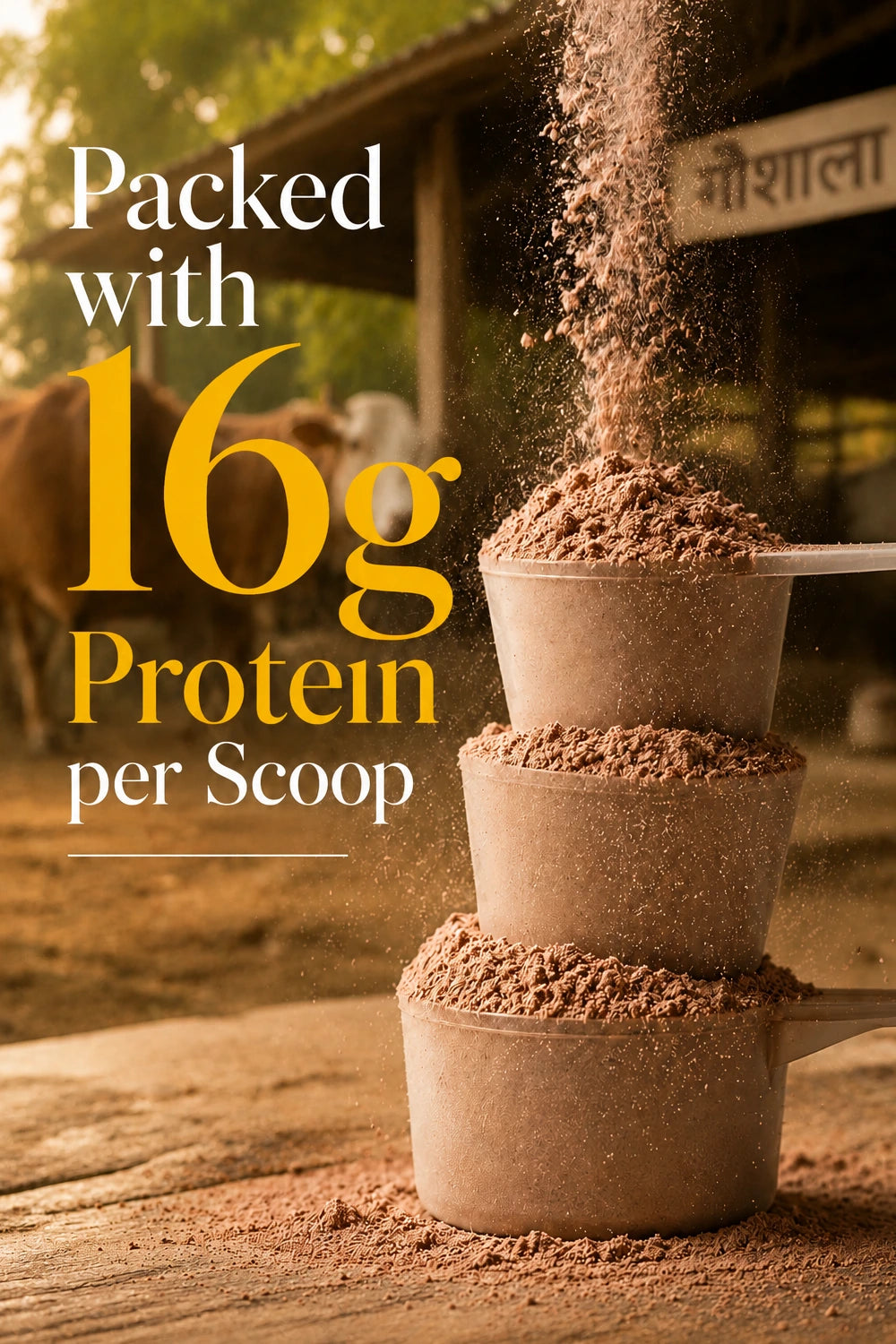 PRO+ Farm Protein For Family - Kesar Badam (450g) - 16g/scoop + Free Gift