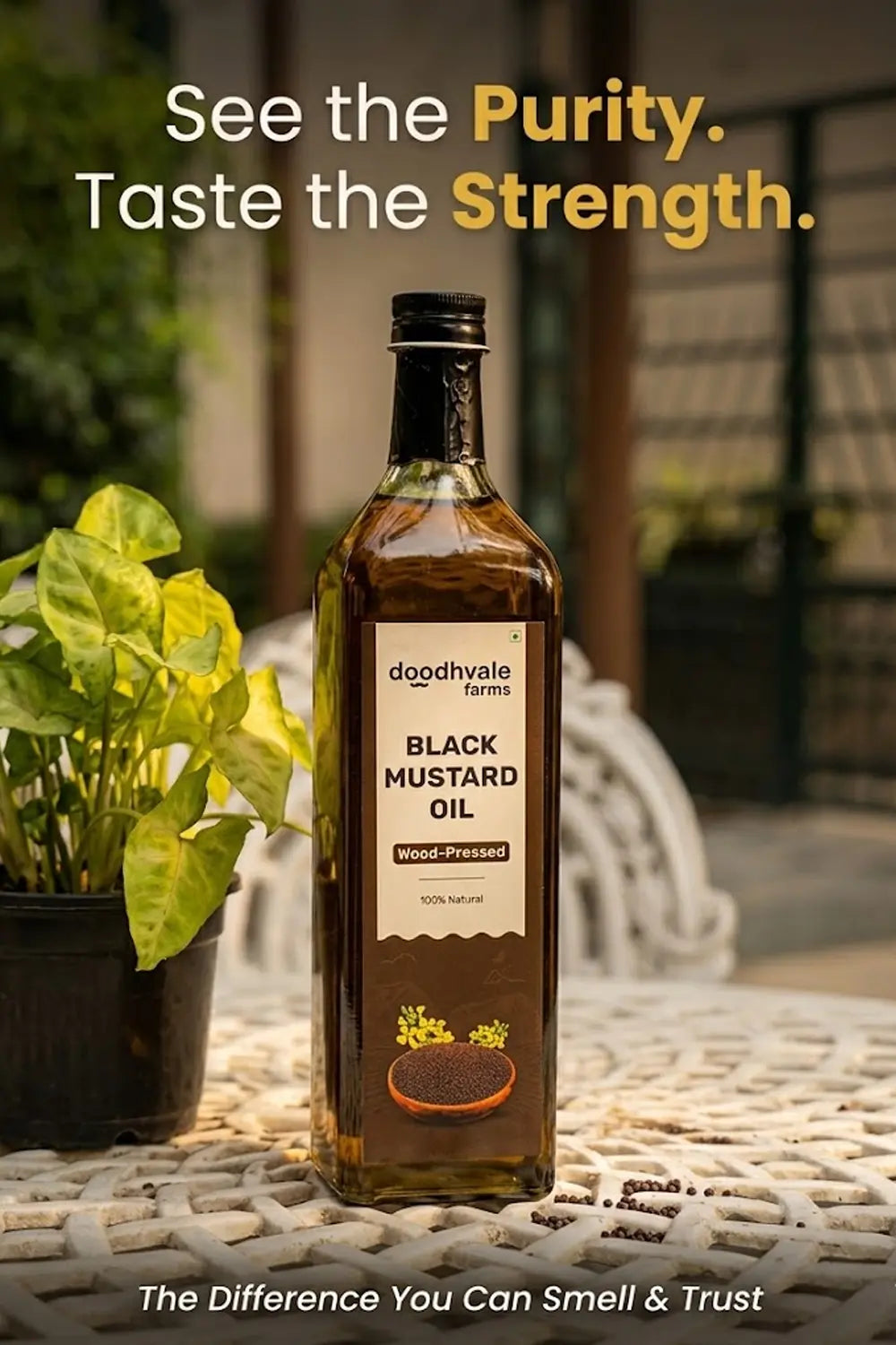 Black Mustard Oil - Wood Pressed 1L (Buy 1 Get 1 Free)