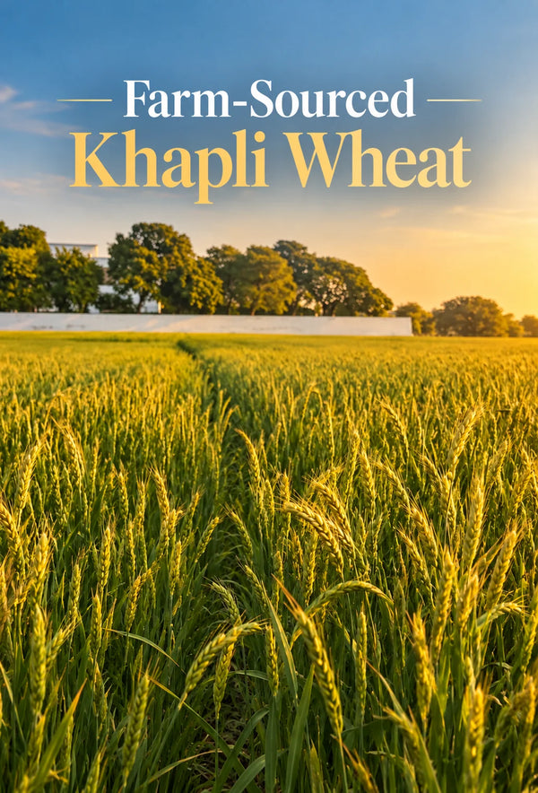 <div class="metafield-rich_text_field"><p><strong>Farm Sourced Khapli Wheat</strong></p></div>
