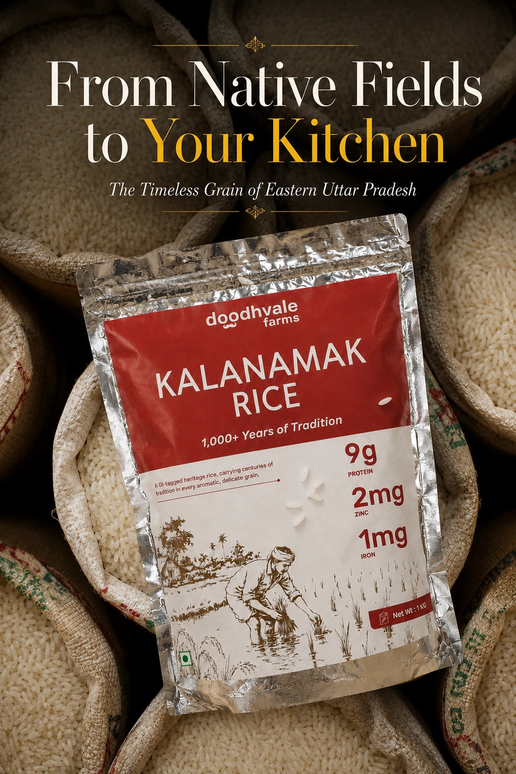 Kala Namak Rice – GI-Tagged Heritage Rice | High Protein