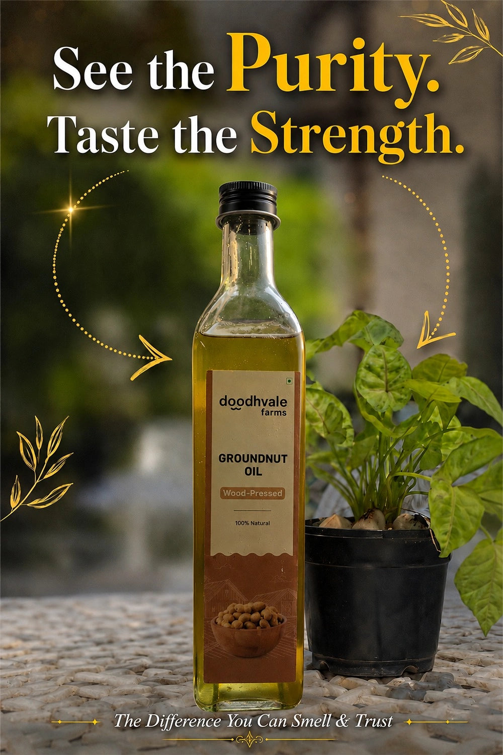 Groundnut Oil - Wood Pressed (2 Unit Pack)
