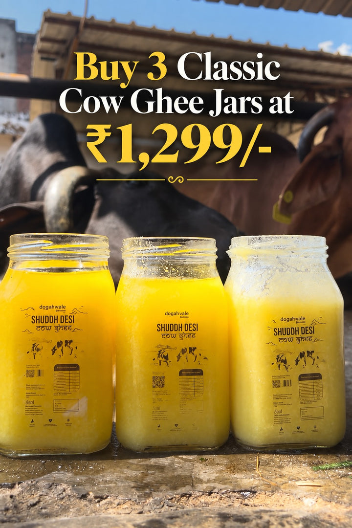 3 Classic Cow Shuddh Bilona Ghee at 1299