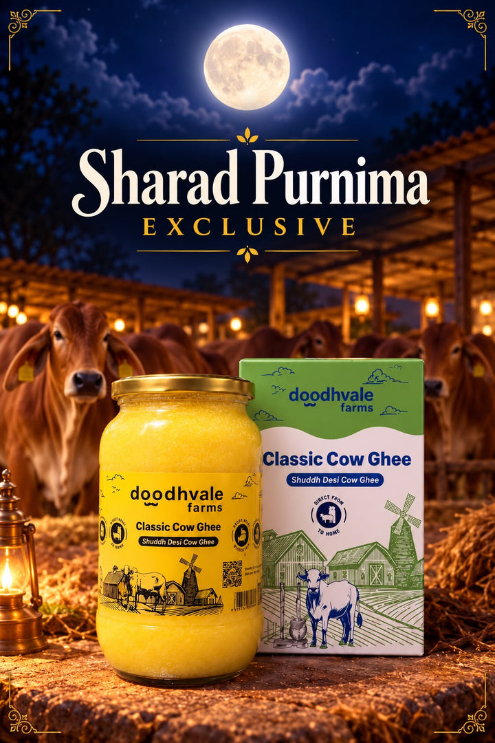 Classic Cow Bilona Ghee - Sharad Purnima Special