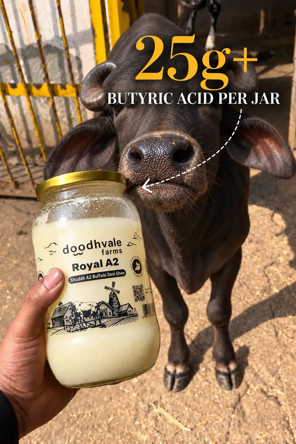 Royal A2 Buffalo Desi Ghee