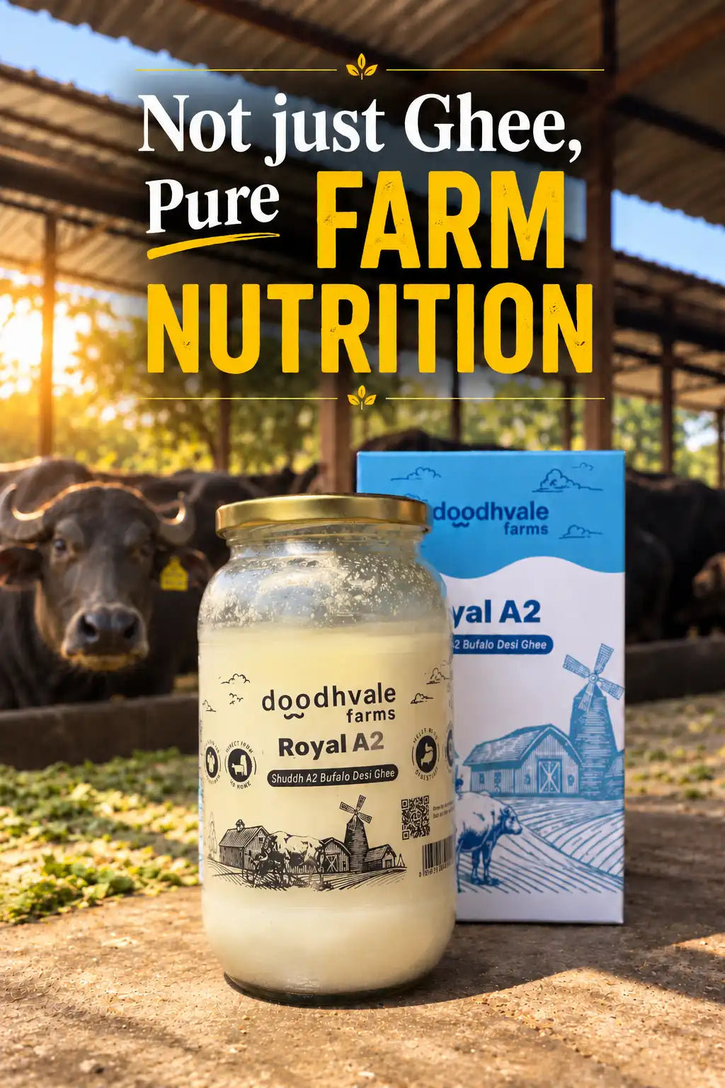 Royal A2 Buffalo Desi Ghee B1G2