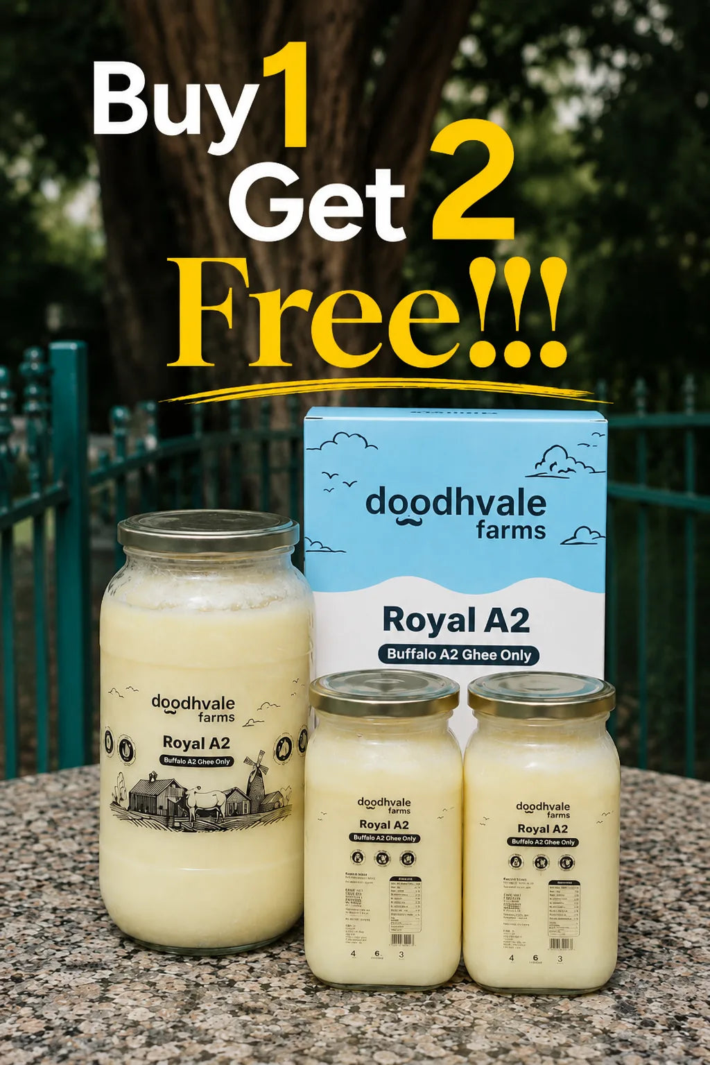 Royal A2 Buffalo Desi Ghee B1G2
