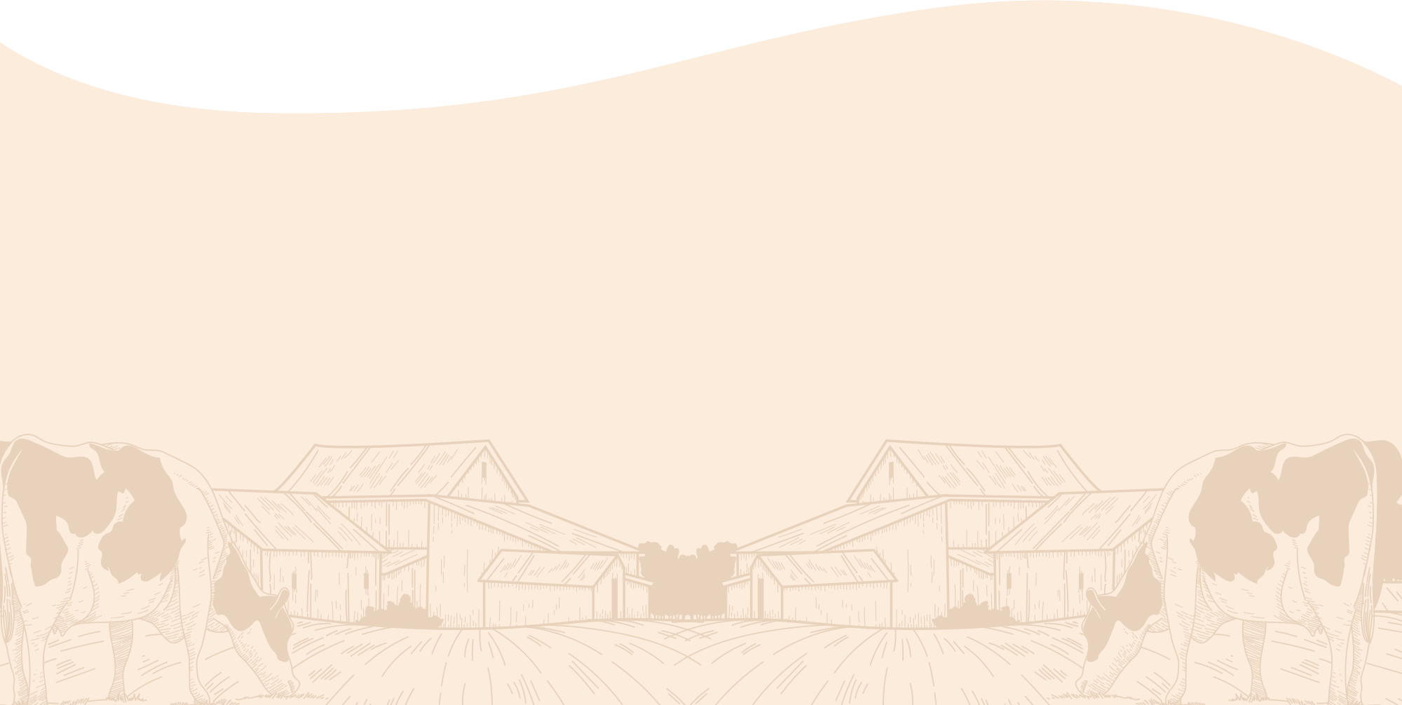 100% Traditional Bilona Method. No Shortcuts.