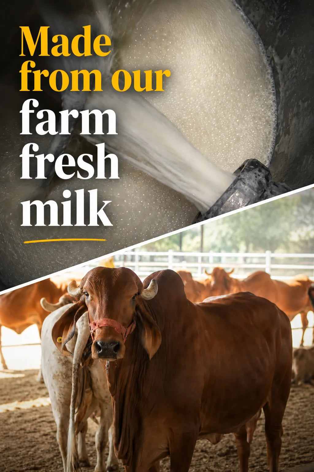 PRO+ Farm Protein Advanced - Cafe Mocha - 25g/scoop + Free Gift