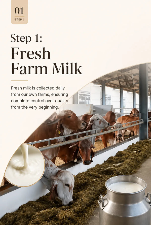 <div class="metafield-rich_text_field"><p>Fresh Farm Milk</p></div>